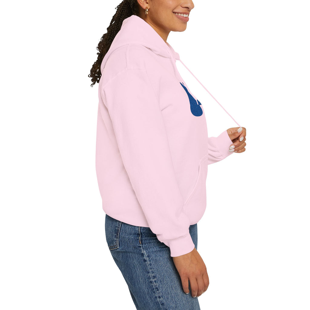 Women's Embroidered Hoodie