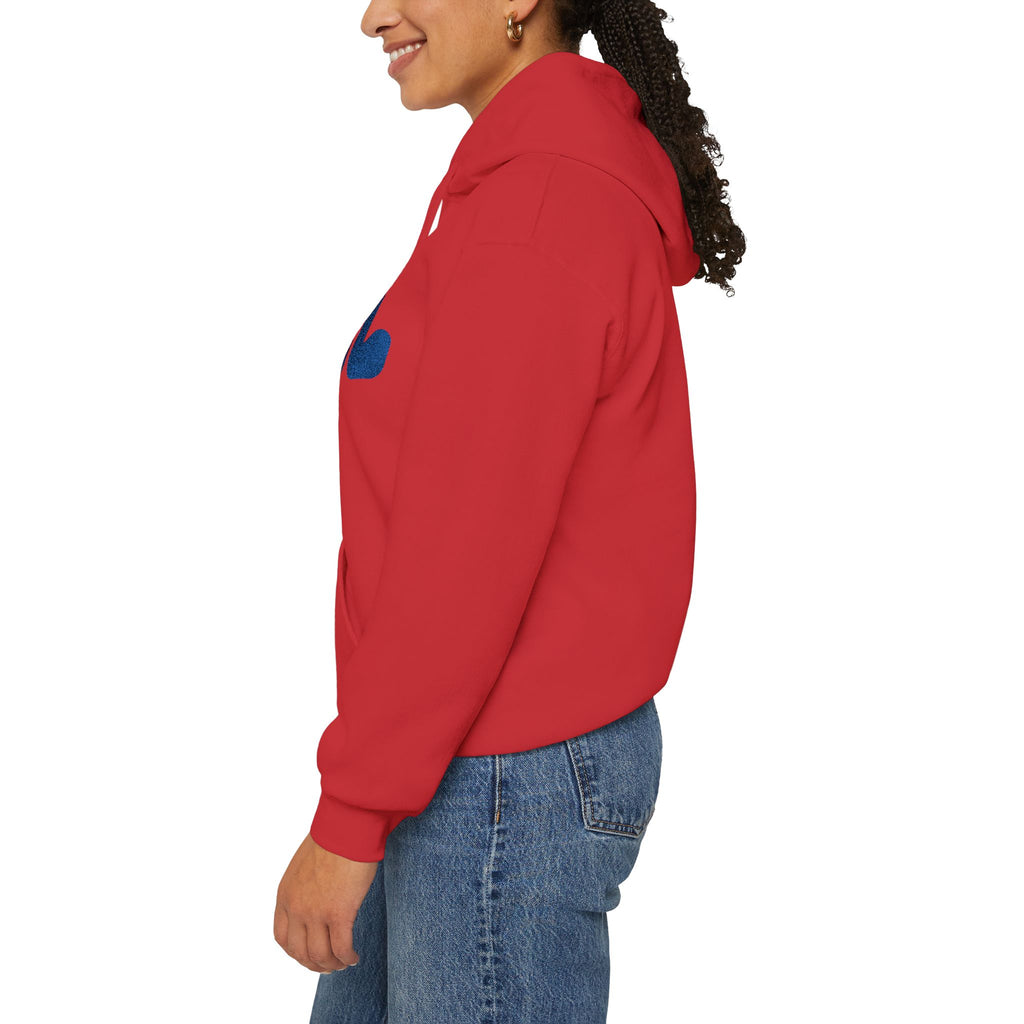 Women's Embroidered Hoodie